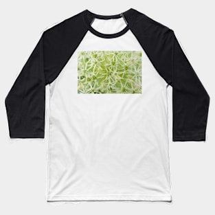 Allium karataviense  &#39;Ivory Queen&#39;  Kara Tau garlic Baseball T-Shirt